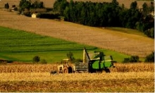 Centru Inchirieri Terenuri Tarnaveni Inchiriere teren Tarnaveni